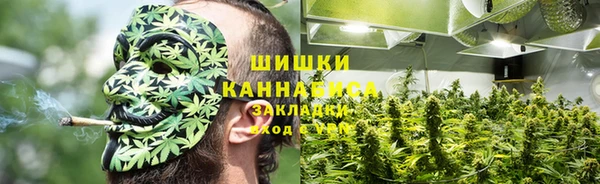 apvp Верхний Тагил
